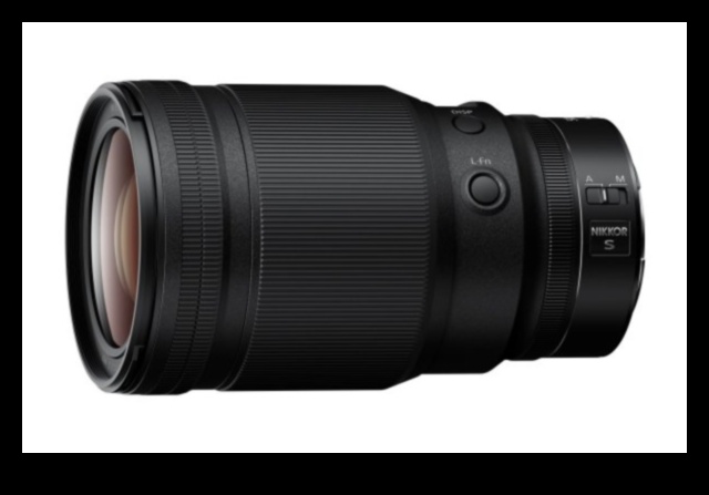 Portrait Prowess: Unleashing the Magic of Professional Lenses