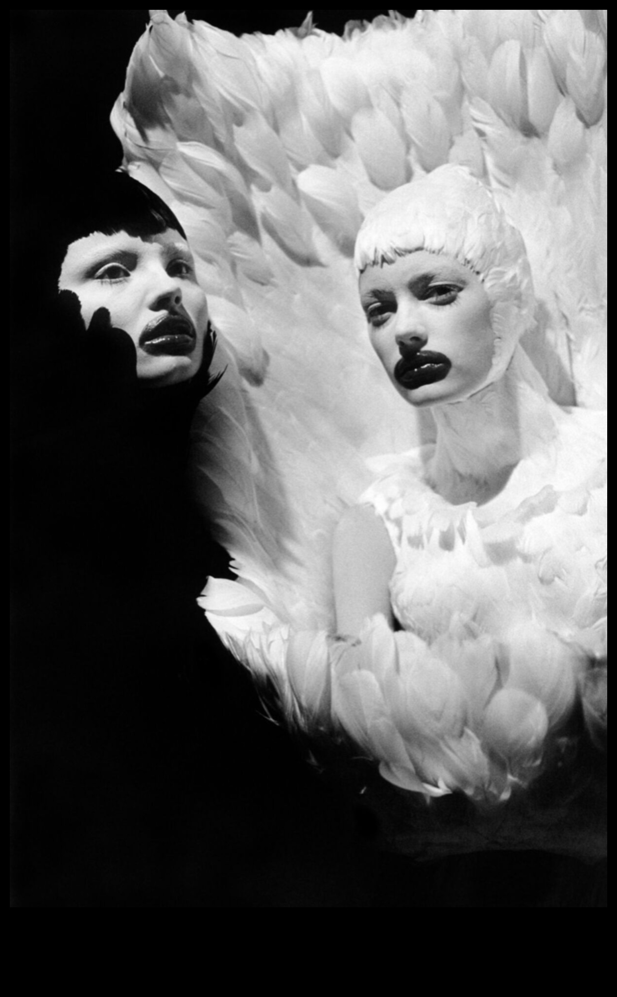 Model Moments: Storytelling Through the Lens of Fashion