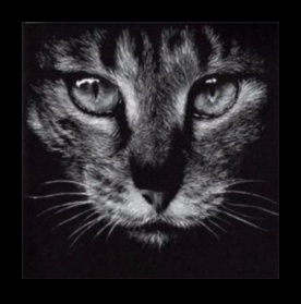 Charcoal Η Τέχνη του Ασπρόμαυρου 4 Beyond Realism: Exploring Abstract Possibilities with Charcoal