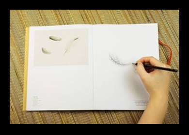 Inanimate Poetry: A Still Life Sketchbook