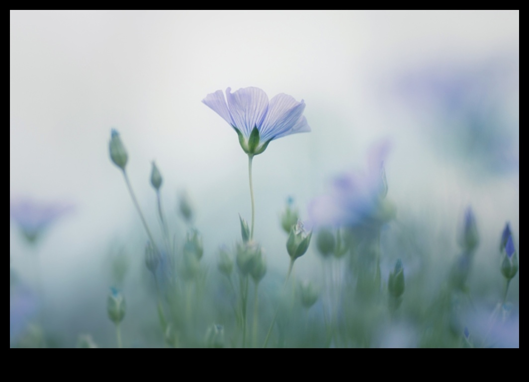 Pastel Perspectives: Soft Hues in Dreamy Photography Styles