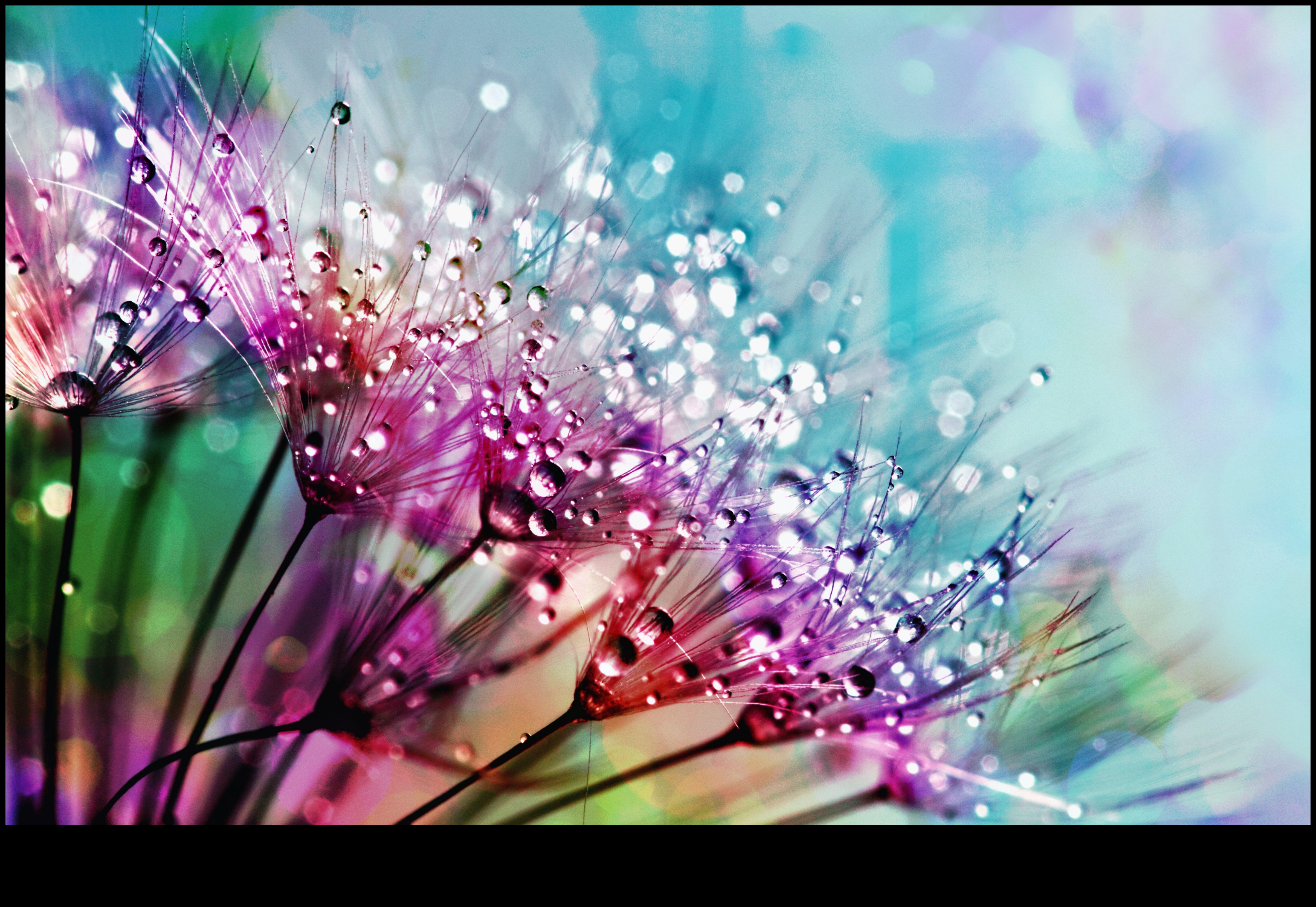 Intricate Elegance Ένας οδηγός για την αποτύπωση της λεπτής ομορφιάς της μακρο φωτογραφίας 6 Περίπλοκη κομψότητα: Κατακτήστε τη λεπτή ομορφιά των λεπτομερειών της μακρο φωτογραφίας