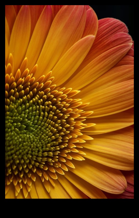 Intricate Elegance Ένας οδηγός για την αποτύπωση της διακριτικής ομορφιάς της μακρο φωτογραφίας 5 Περίπλοκη κομψότητα: Κατακτώντας τη λεπτή ομορφιά της μακρο φωτογραφίας