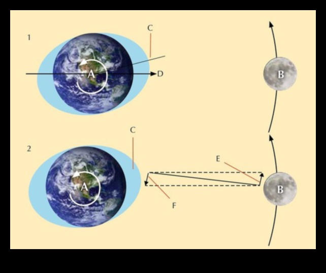 Σεληνιακή Βαρύτητα: Ο σύντροφος της Γης στην Κοσμική διελκυστίνδα