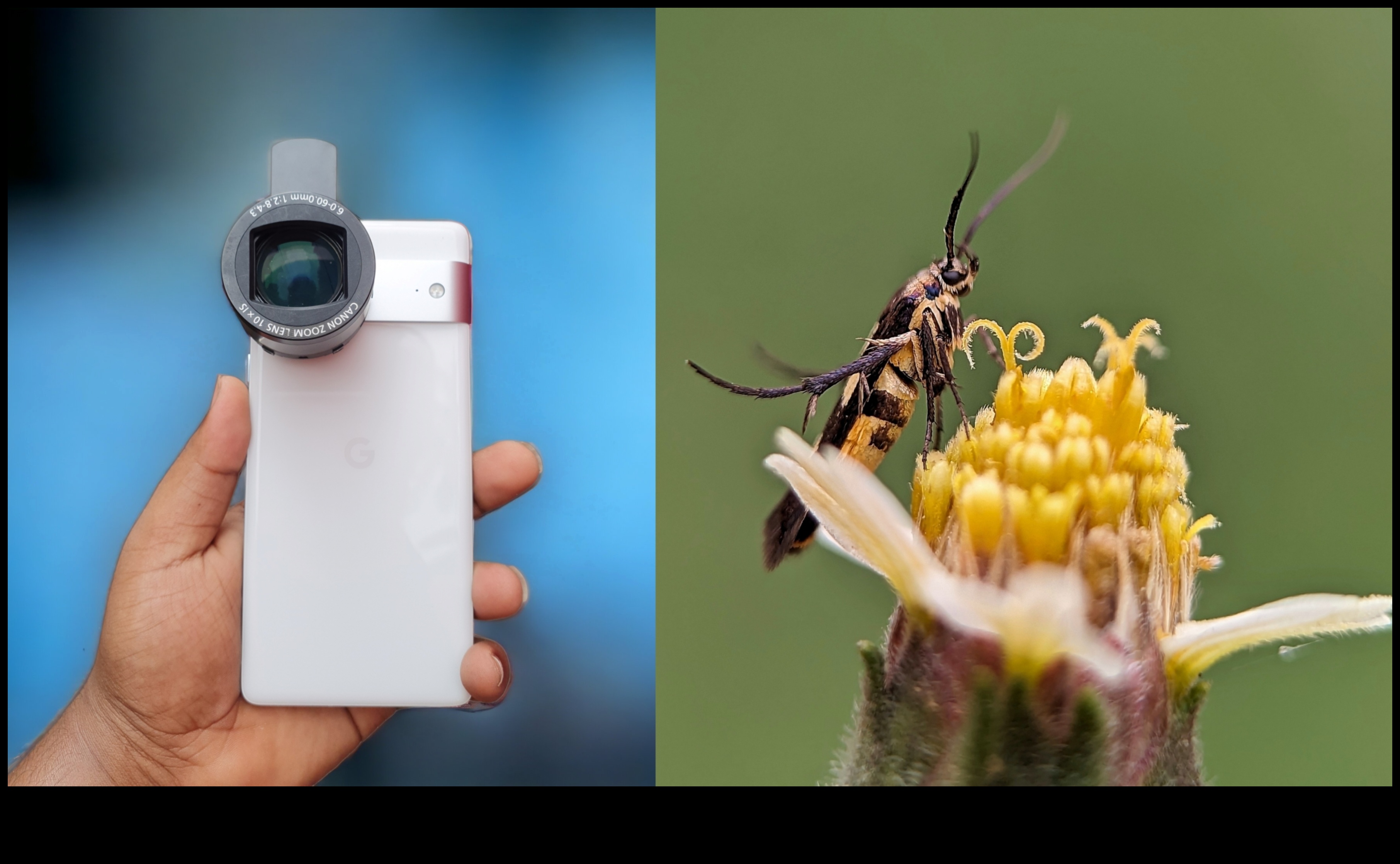 Macro Mastery Αποτυπώστε τις περίπλοκες λεπτομέρειες του κόσμου με φακούς ακριβείας 3 Μακροεντολή: Καταγραφή του περίπλοκου με φακούς ακριβείας