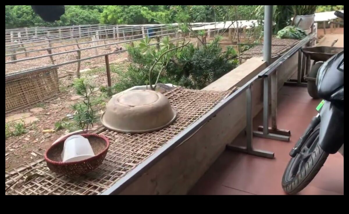 Cityscape Chronicles: Documenting the Evolution and Transformation of Urban Spaces