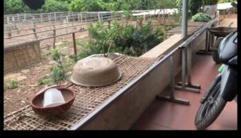 Cityscape Chronicles: Documenting the Evolution and Transformation of Urban Spaces