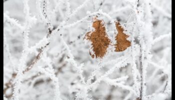 Frozen Frames: Mastering Techniques for Capturing the Beauty of Ice and Snow