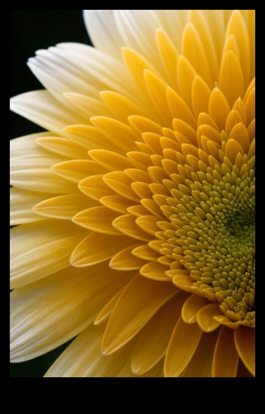 Intricate Elegance Ένας οδηγός για την αποτύπωση της διακριτικής ομορφιάς της μακρο φωτογραφίας 4 Περίπλοκη κομψότητα: Κατακτώντας τη λεπτή ομορφιά της μακρο φωτογραφίας