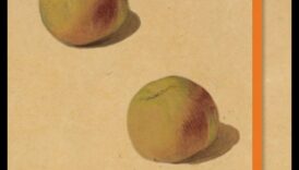 Inanimate Poetry: A Still Life Sketchbook