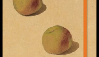 Inanimate Poetry: A Still Life Sketchbook