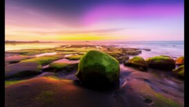 Στυλ επεξεργασίας φωτογραφίας DIY: Vintage, μοντέρνο και άλλα