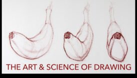 Επιστημονική λεπτομέρεια: Τεχνικές για τη μετάδοση της πολυπλοκότητας στα σχέδια